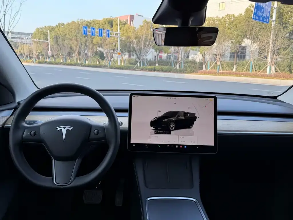 Tesla Model Y 2023 из CN, фото 4