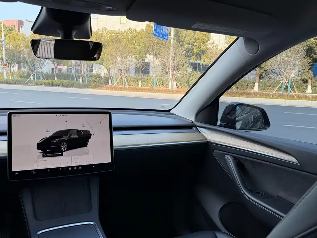 Tesla Model Y 2023 из CN, фото 6