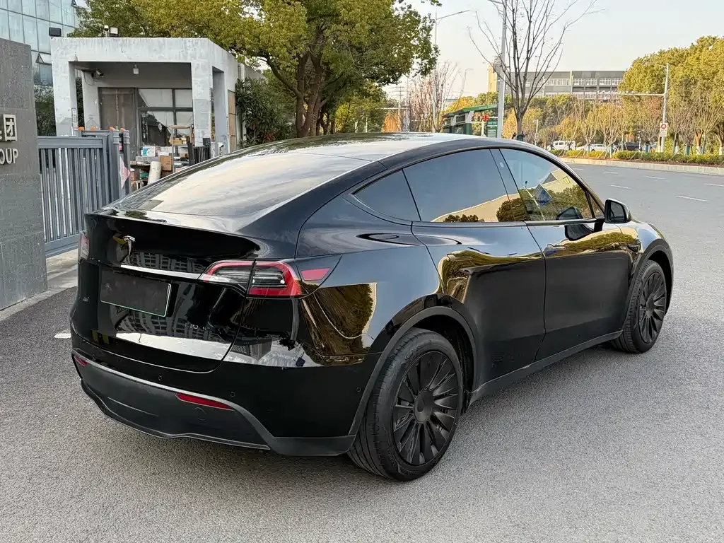 Tesla Model Y 2023 из CN, фото 7
