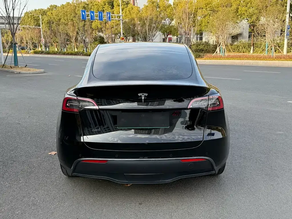Tesla Model Y 2023 из CN, фото 9