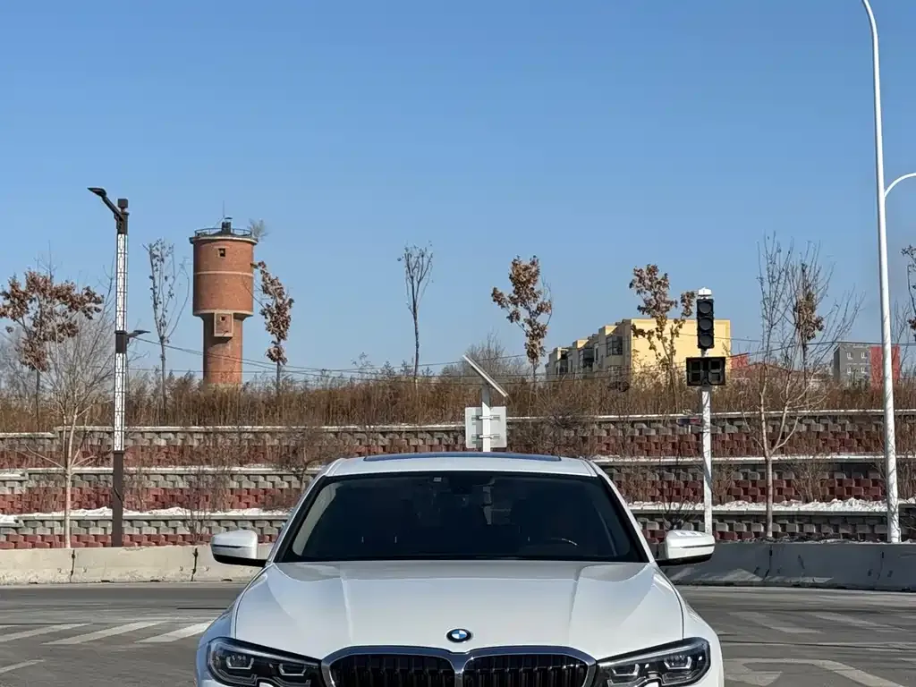 BMW 3 Series 2022 из CN, фото 8