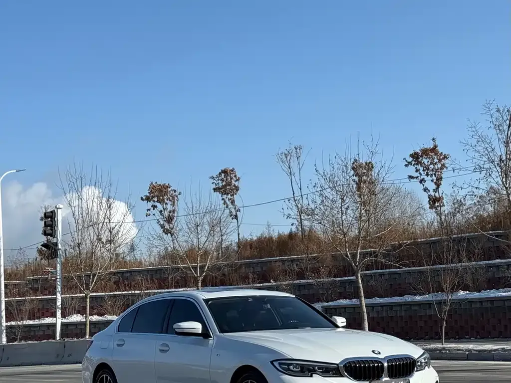 BMW 3 Series 2022 из CN, фото 9