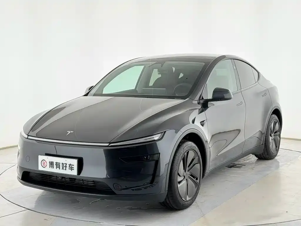 Tesla Model Y 2025 из CN, фото 1