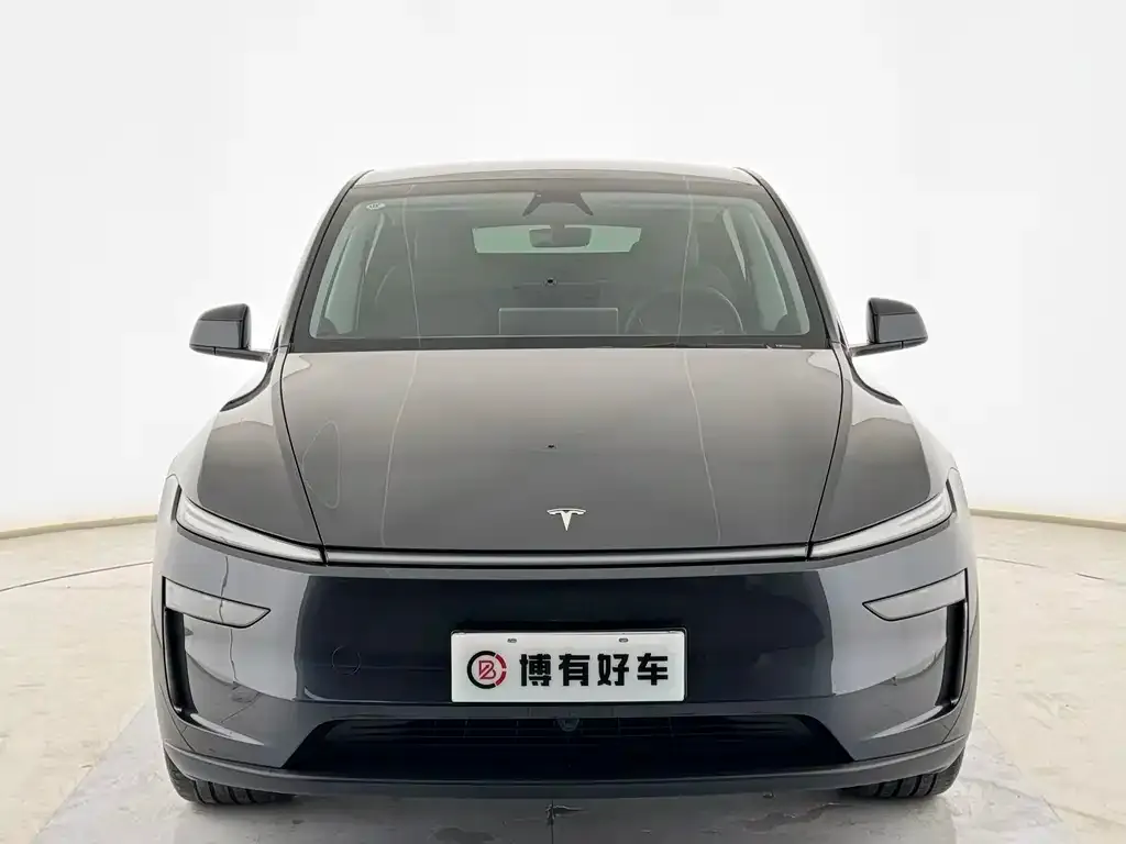 Tesla Model Y 2025 из CN, фото 3