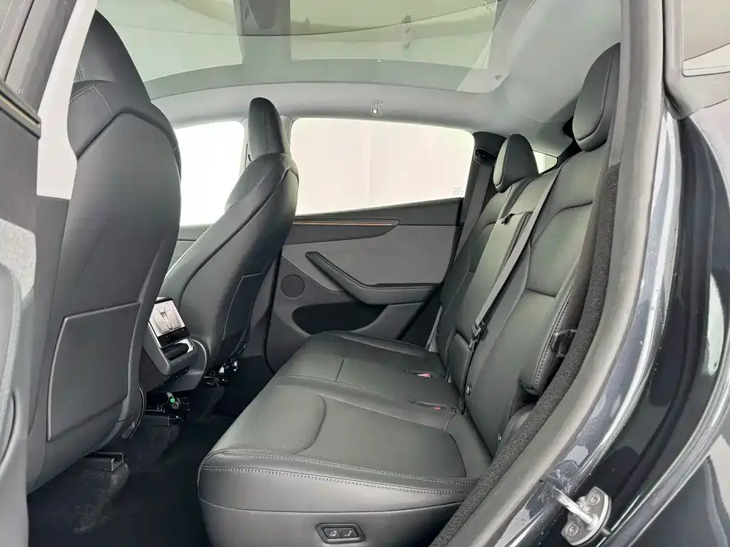 Tesla Model Y 2025 из CN, фото 7
