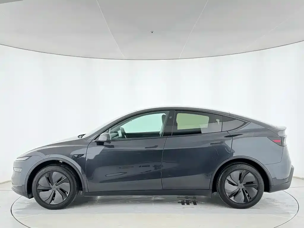 Tesla Model Y 2025 из CN, фото 5