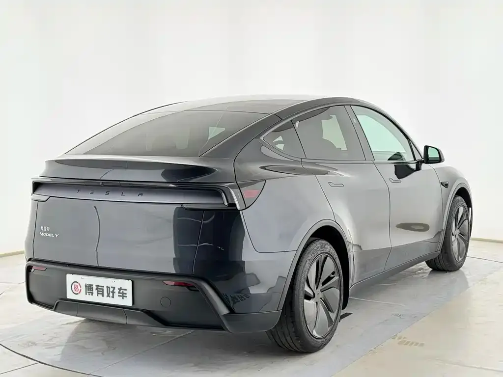 Tesla Model Y 2025 из CN, фото 4