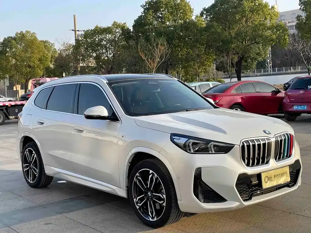 BMW X1 2023 из CN, фото 10