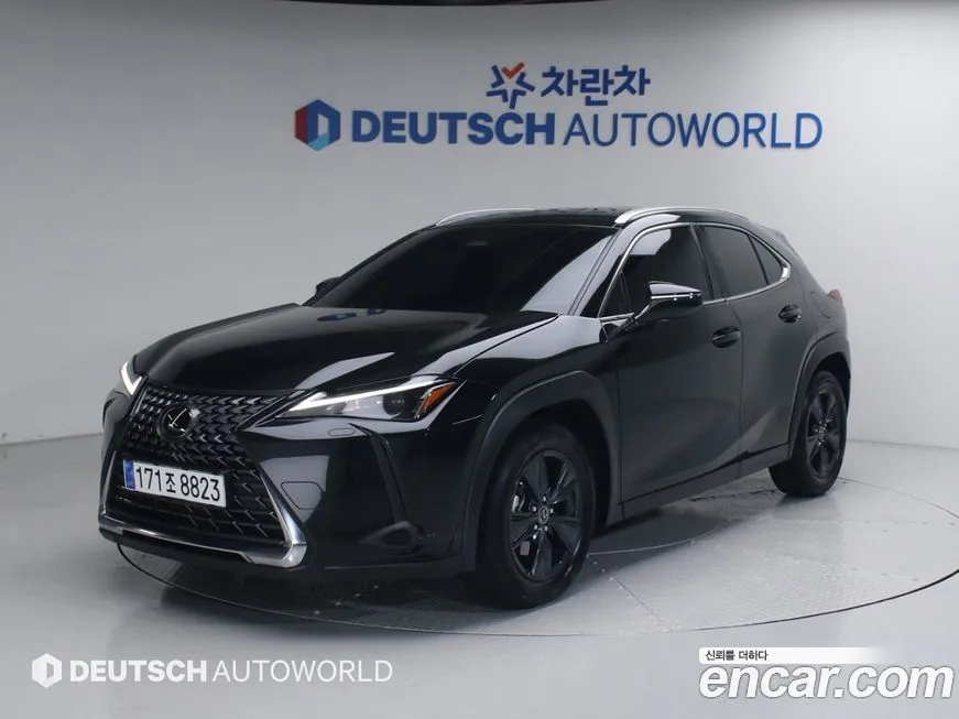 Lexus UX 2025 из KR, фото 1
