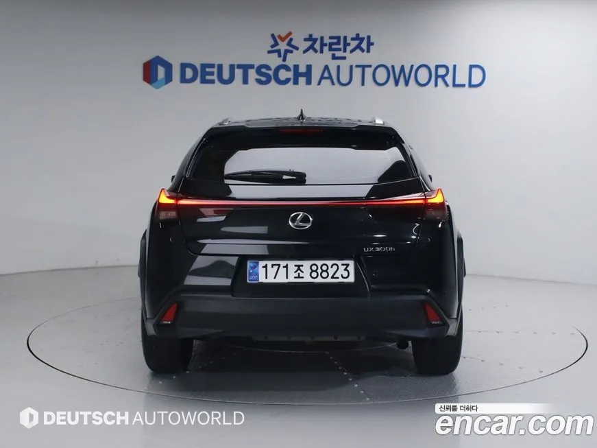 Lexus UX 2025 из KR, фото 4