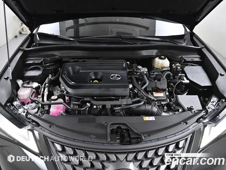 Lexus UX 2025 из KR, фото 8