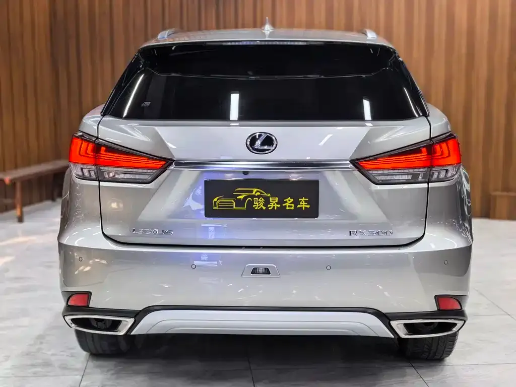 Lexus RX 2021 из CN, фото 4