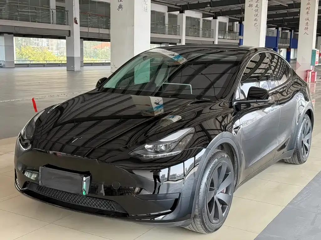 Tesla Model Y — фото 1