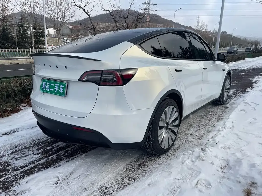 Tesla Model Y 2022 из CN, фото 6