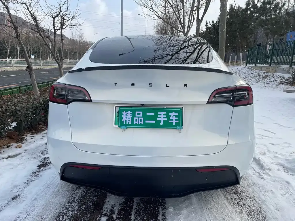 Tesla Model Y 2022 из CN, фото 7