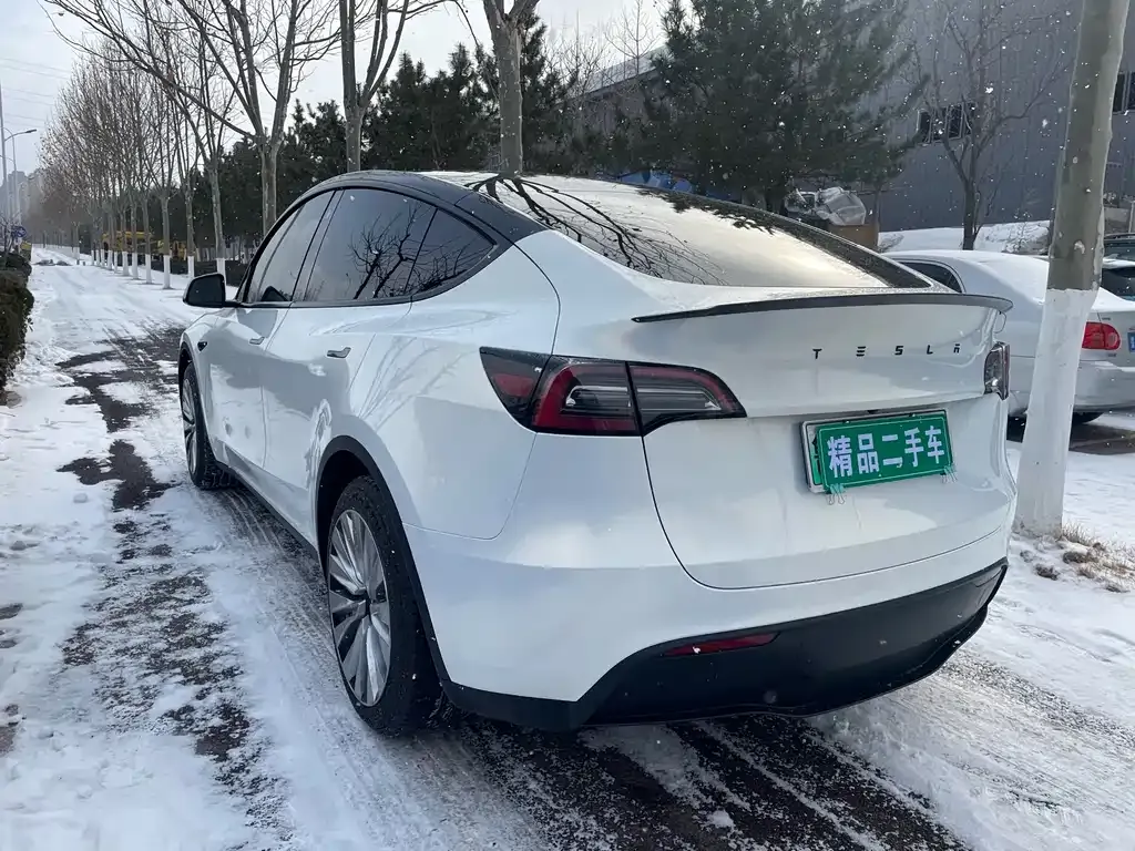 Tesla Model Y 2022 из CN, фото 4
