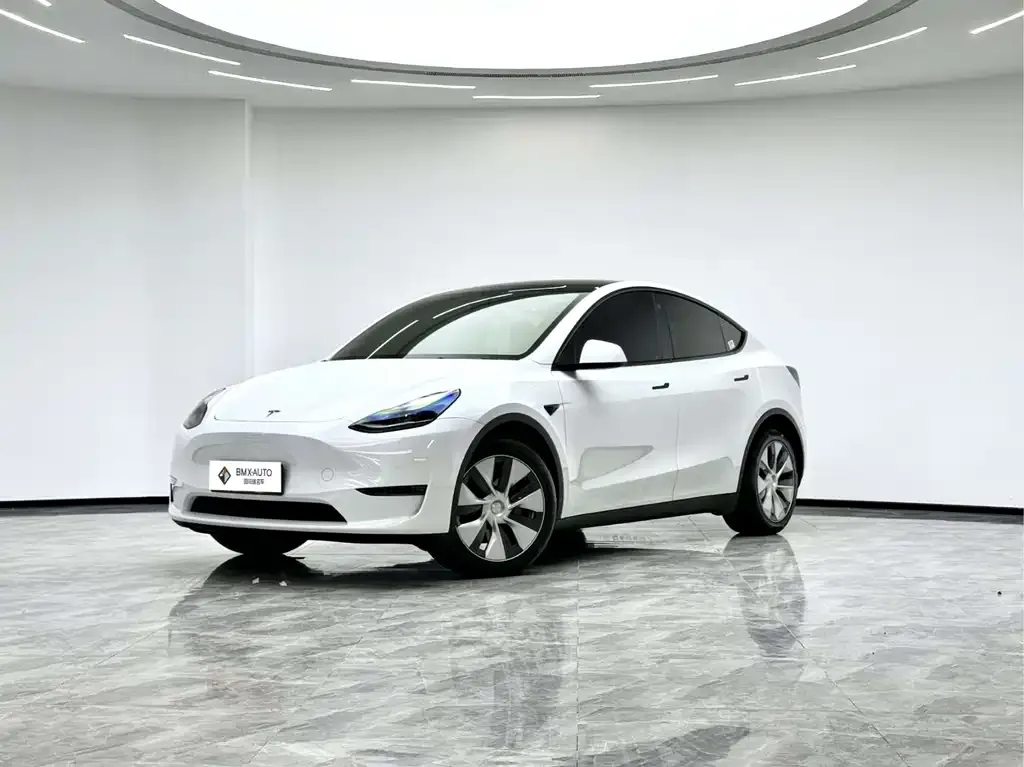 Tesla Model Y 2022 из CN, фото 1