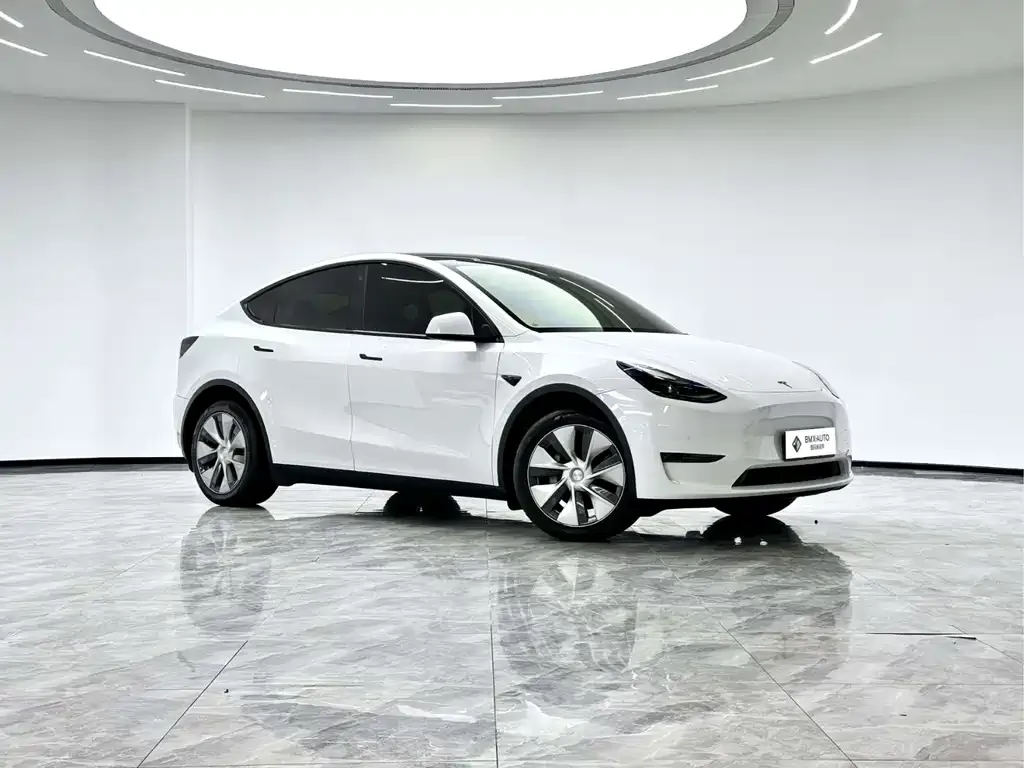 Tesla Model Y 2022 из CN, фото 3