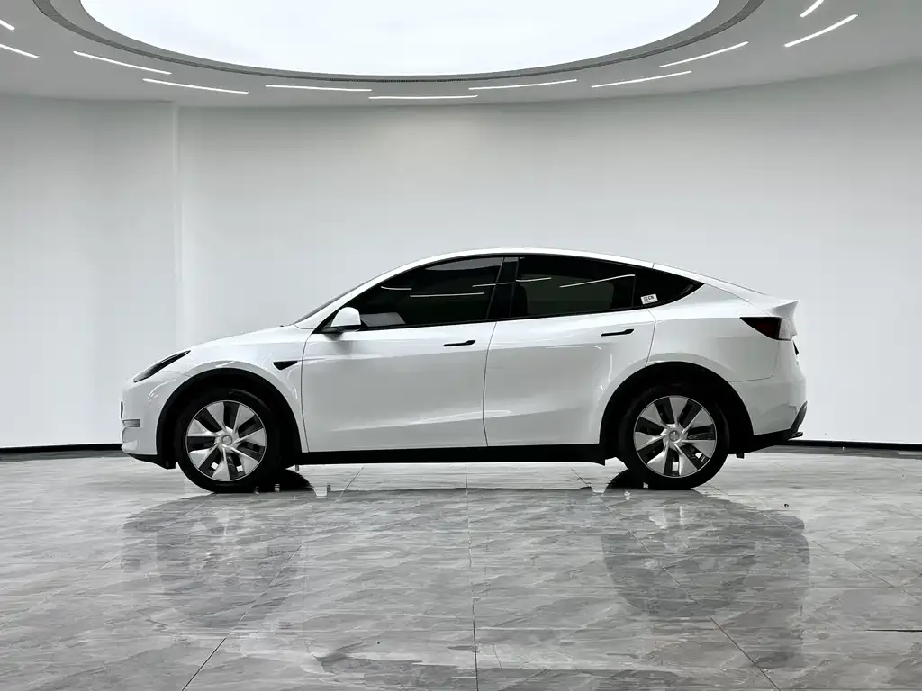 Tesla Model Y 2022 из CN, фото 6