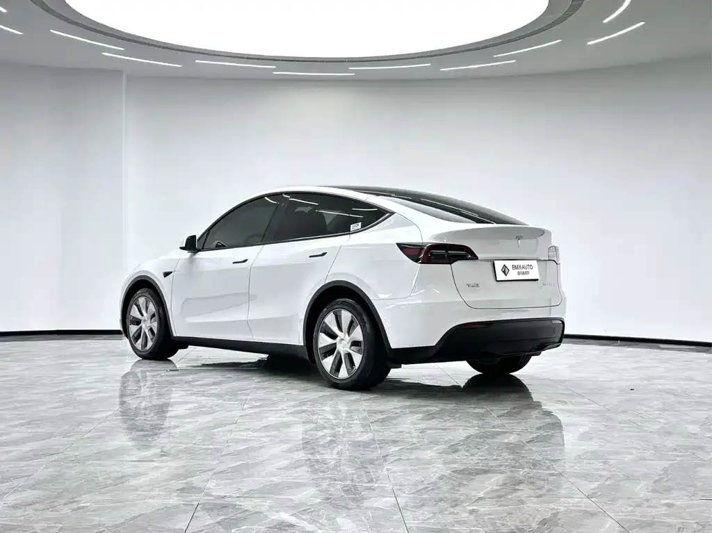 Tesla Model Y 2022 из CN, фото 4