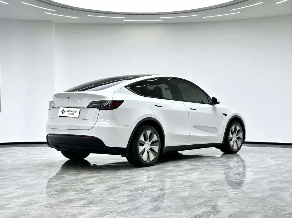 Tesla Model Y 2022 из CN, фото 7