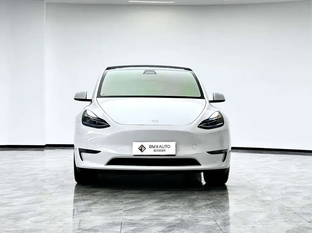 Tesla Model Y 2022 из CN, фото 8