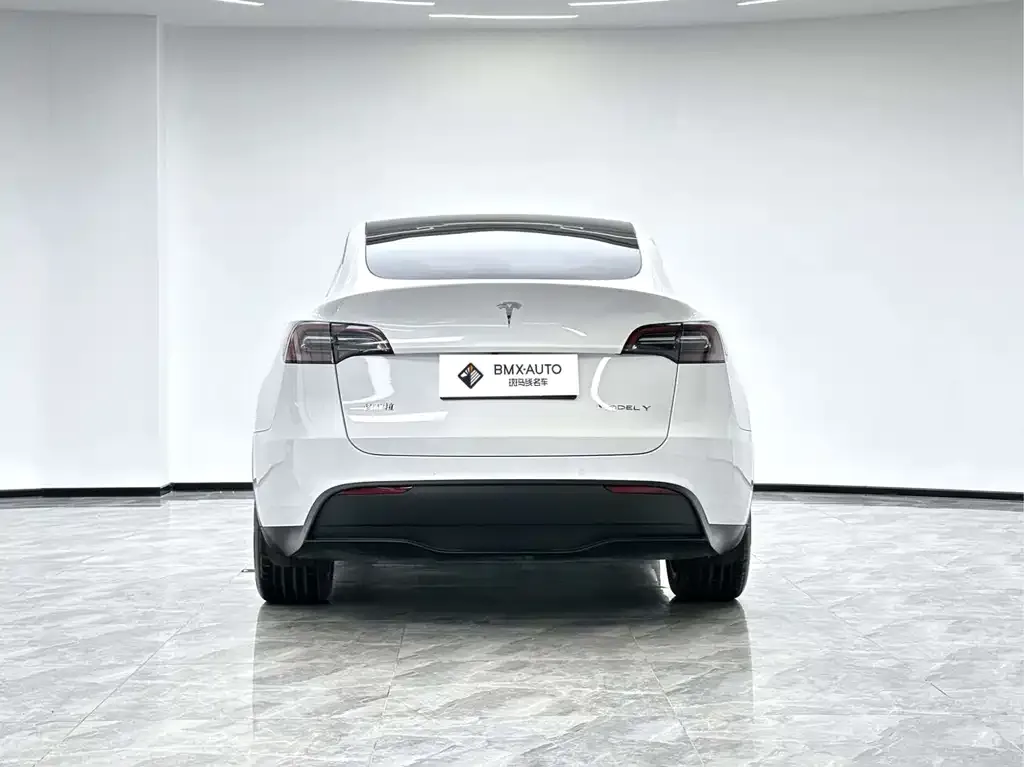 Tesla Model Y 2022 из CN, фото 9