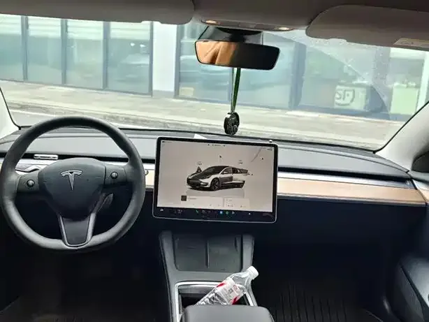 Tesla Model 3 2023 из CN, фото 3