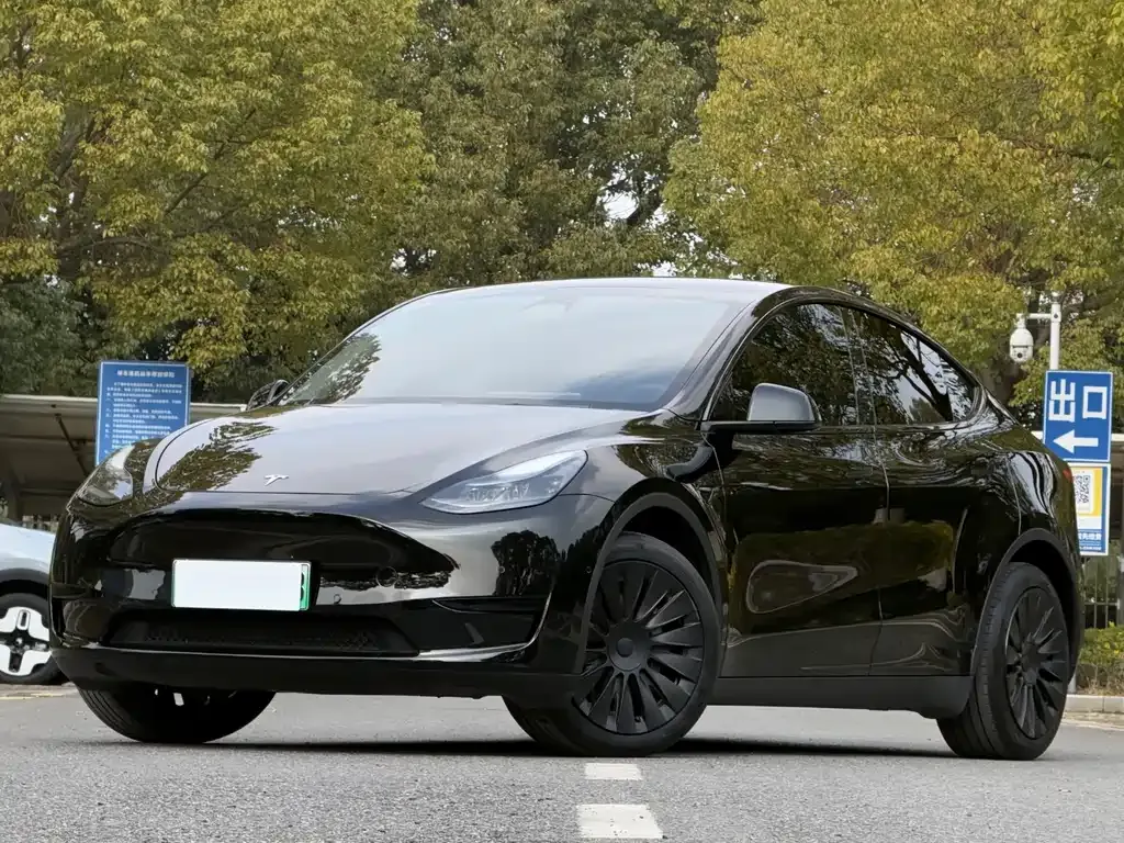 Tesla Model Y 2024 из CN, фото 1