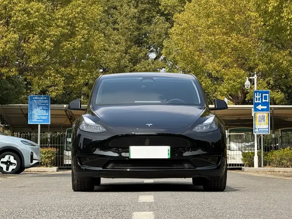 Tesla Model Y 2024 из CN, фото 7
