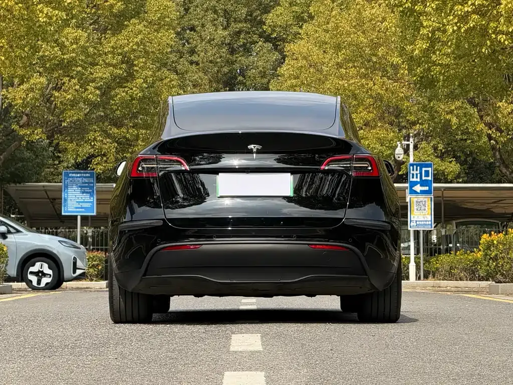 Tesla Model Y 2024 из CN, фото 9