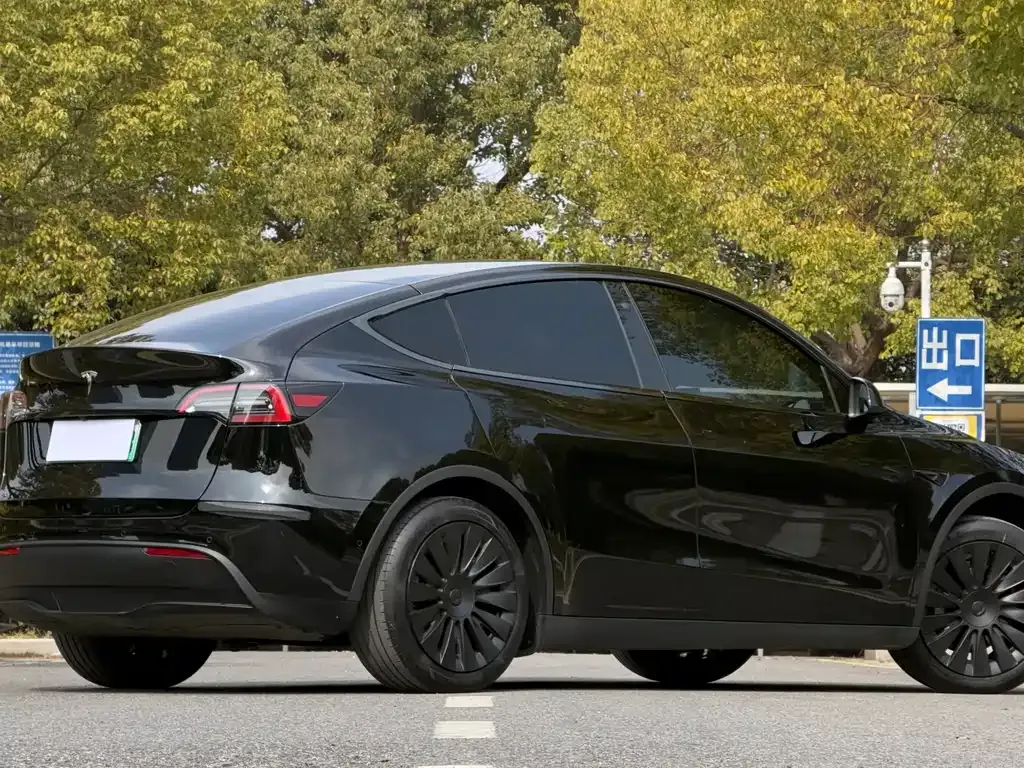 Tesla Model Y 2024 из CN, фото 5