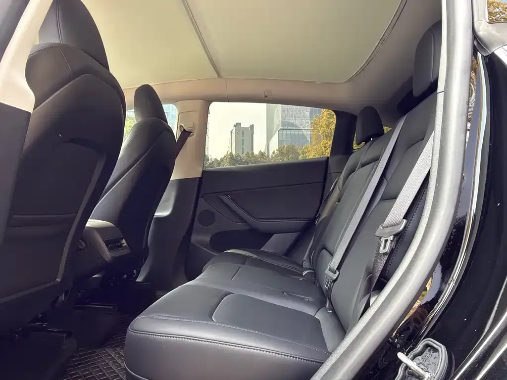 Tesla Model Y 2024 из CN, фото 6