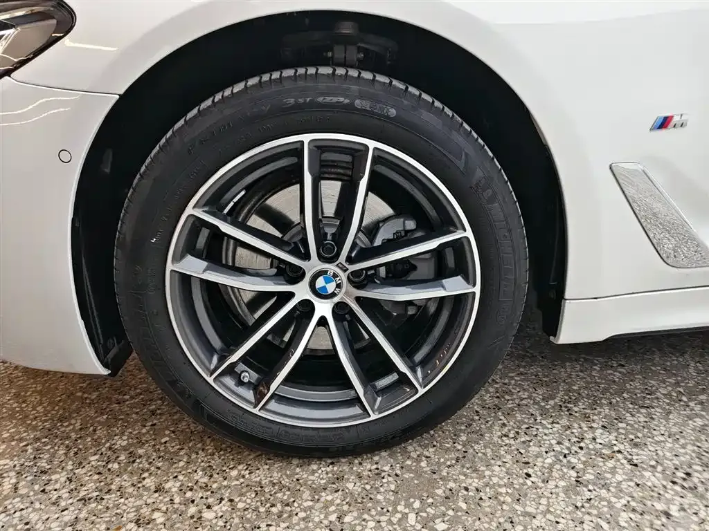 BMW 5 Series 2023 из CN, фото 10