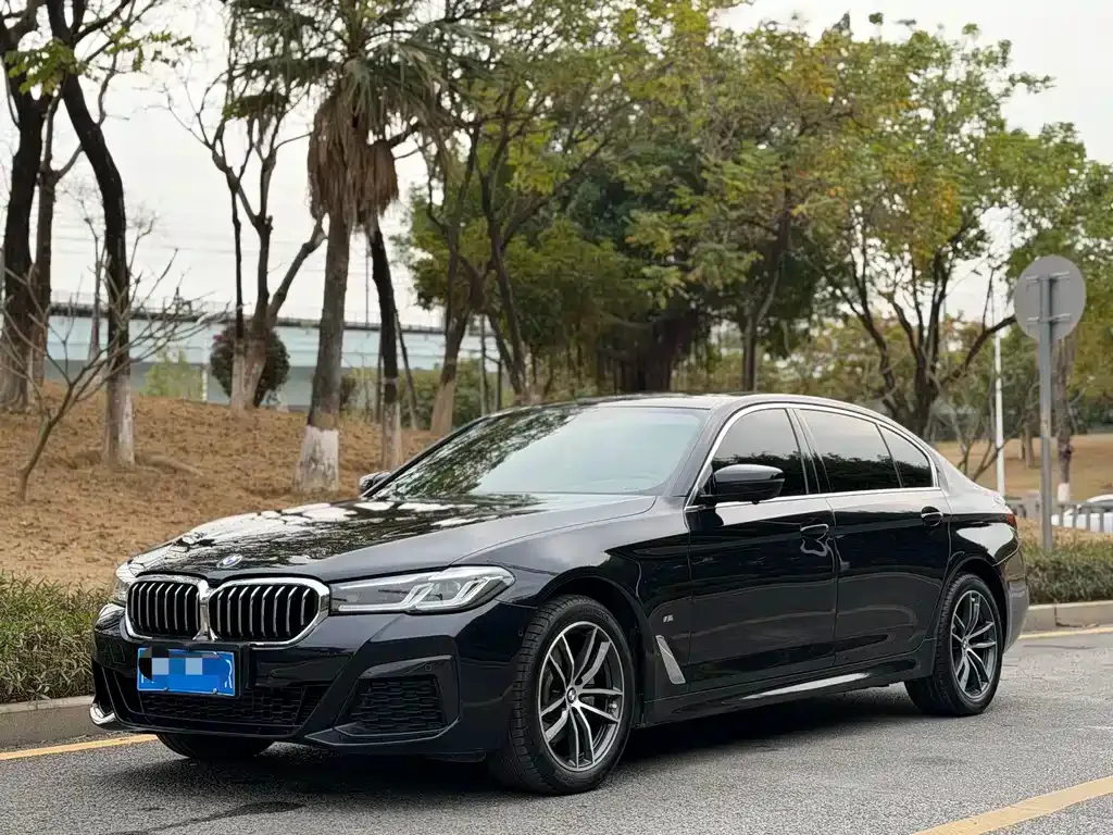 BMW 5 Series 2022 из CN, фото 1