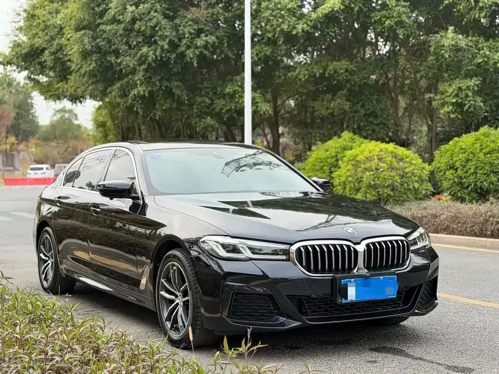 BMW 5 Series 2022 из CN, фото 9