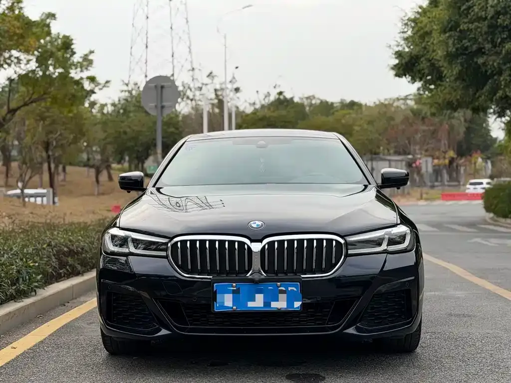 BMW 5 Series 2022 из CN, фото 4