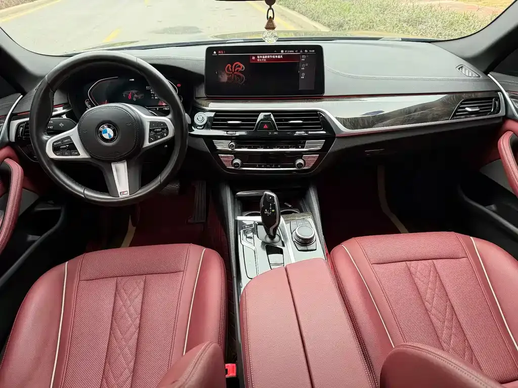BMW 5 Series 2022 из CN, фото 7