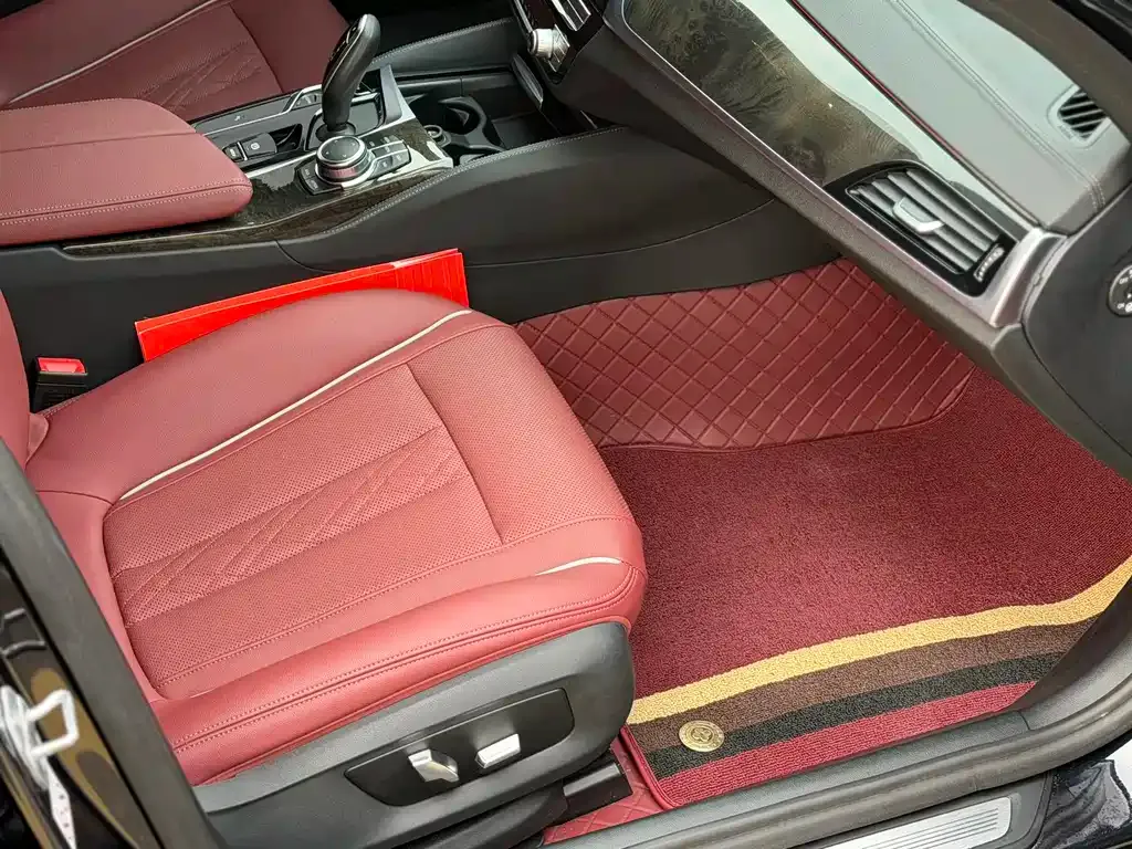 BMW 5 Series 2022 из CN, фото 8