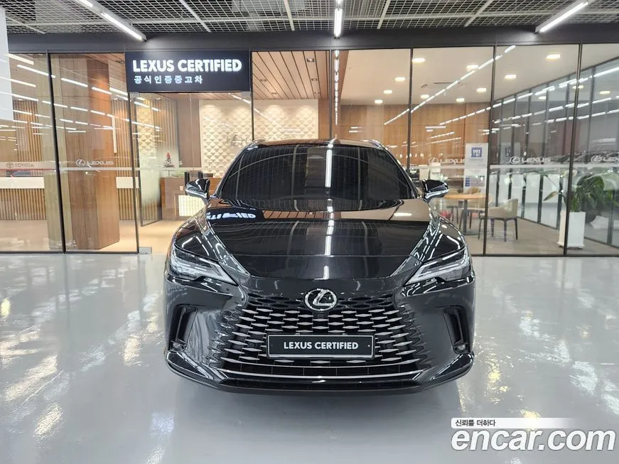 Lexus RX 2025 из KR, фото 2