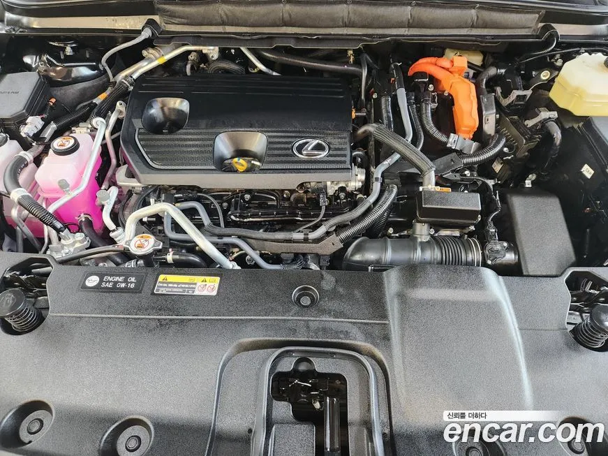 Lexus RX 2025 из KR, фото 9