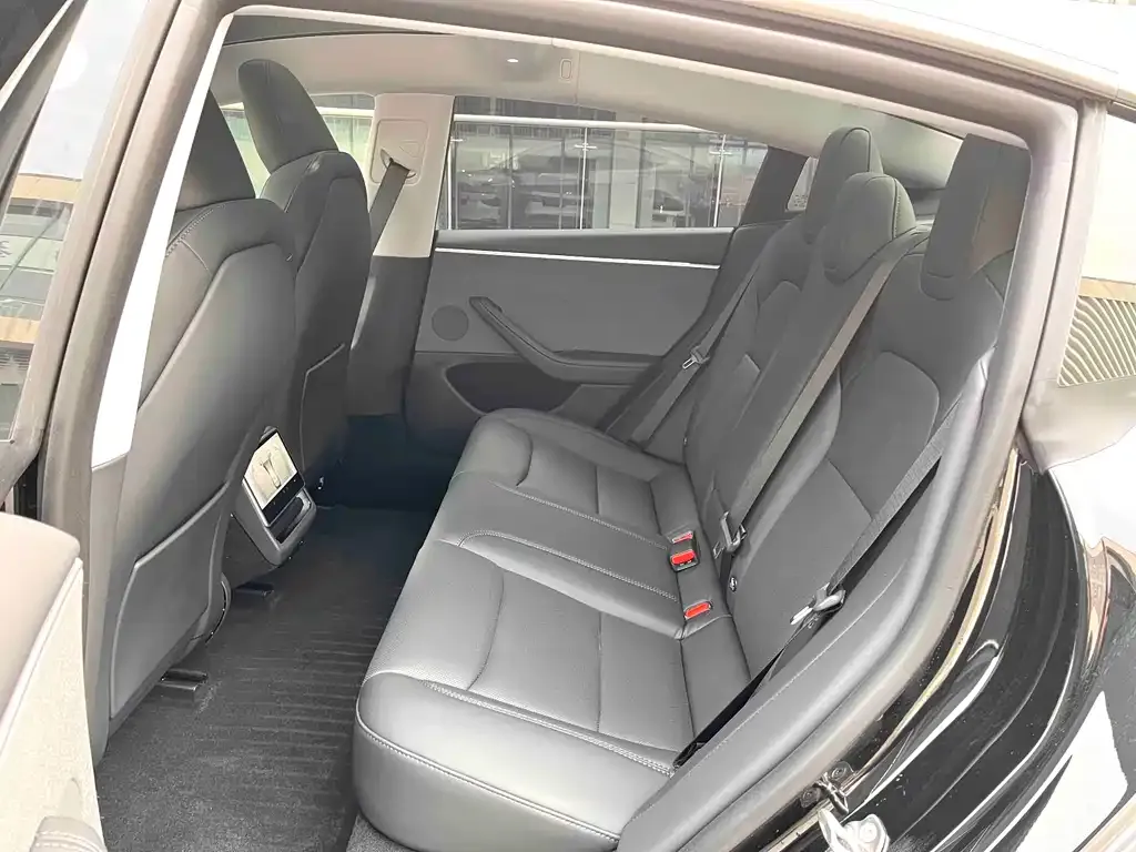 Tesla Model 3 2024 из CN, фото 2