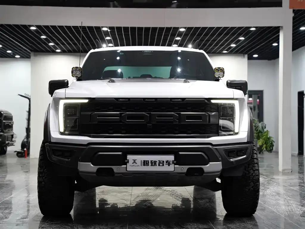 Ford F-150 Raptor 2023 из CN, фото 5