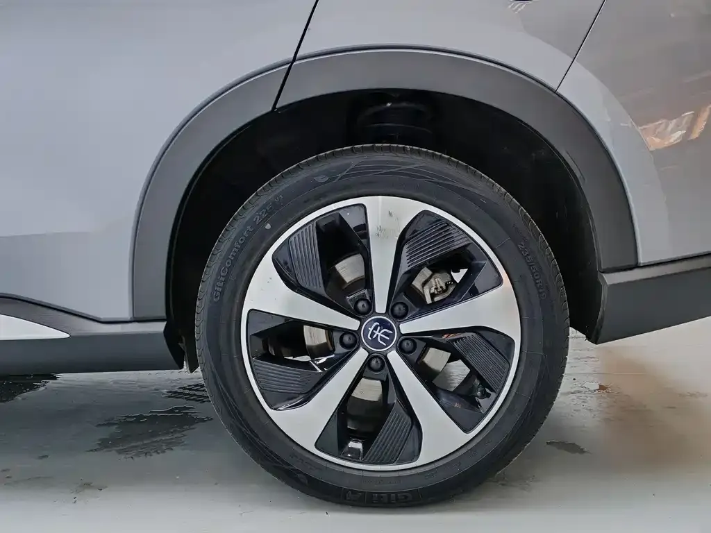 BYD PLUS New Energy 2022 из CN, фото 4