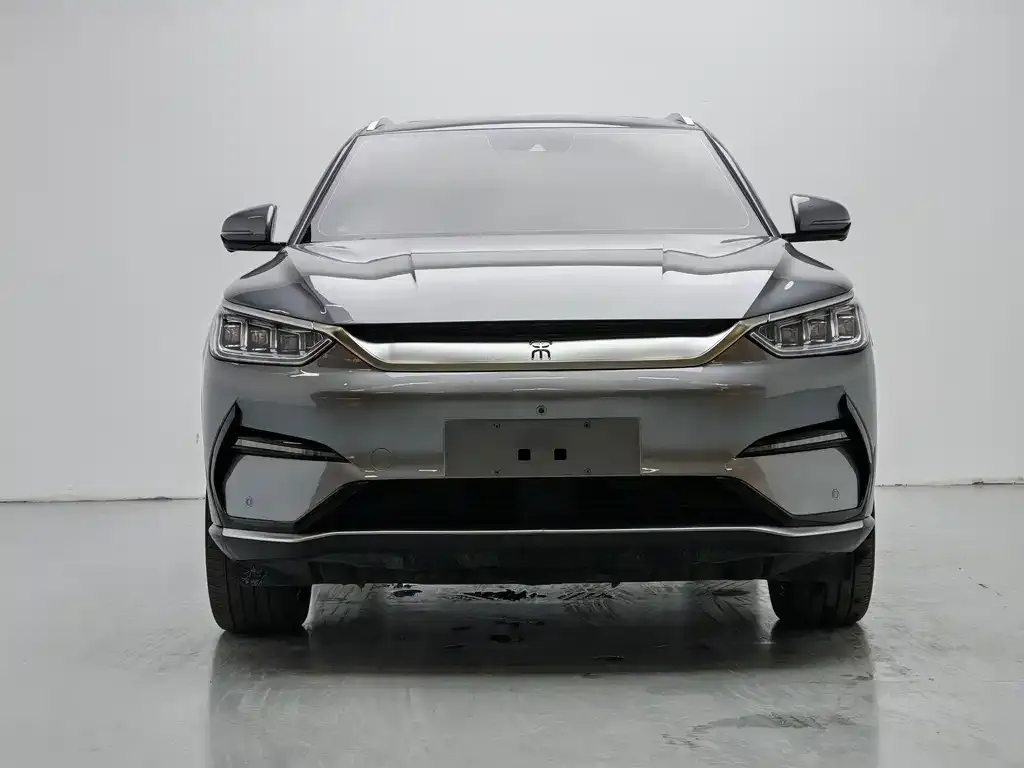 BYD PLUS New Energy 2022 из CN, фото 2