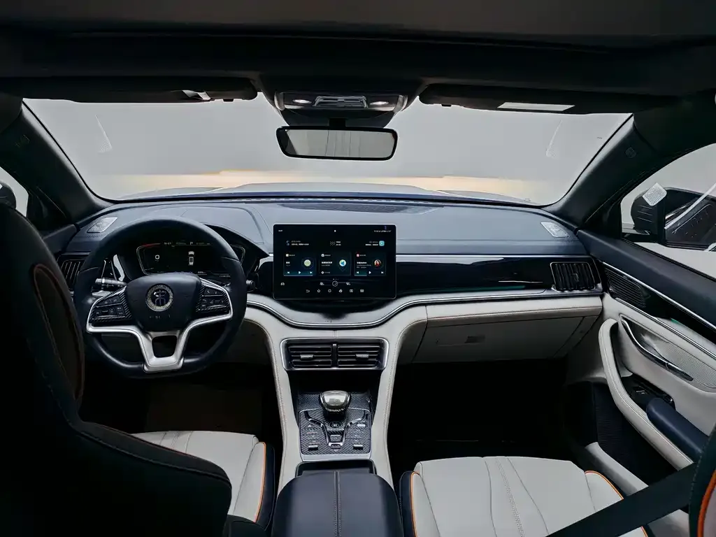 BYD PLUS New Energy 2022 из CN, фото 6