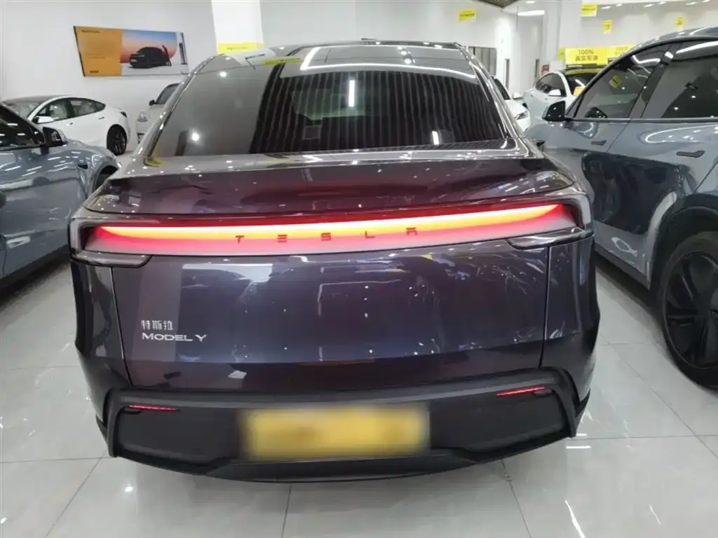 Tesla Model Y 2025 из CN, фото 5