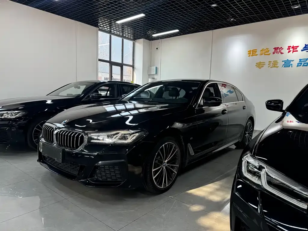 BMW 5 Series 2021 из CN, фото 1