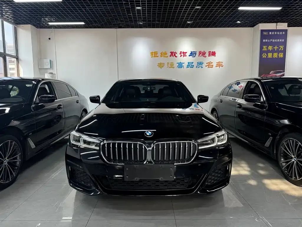 BMW 5 Series 2021 из CN, фото 4