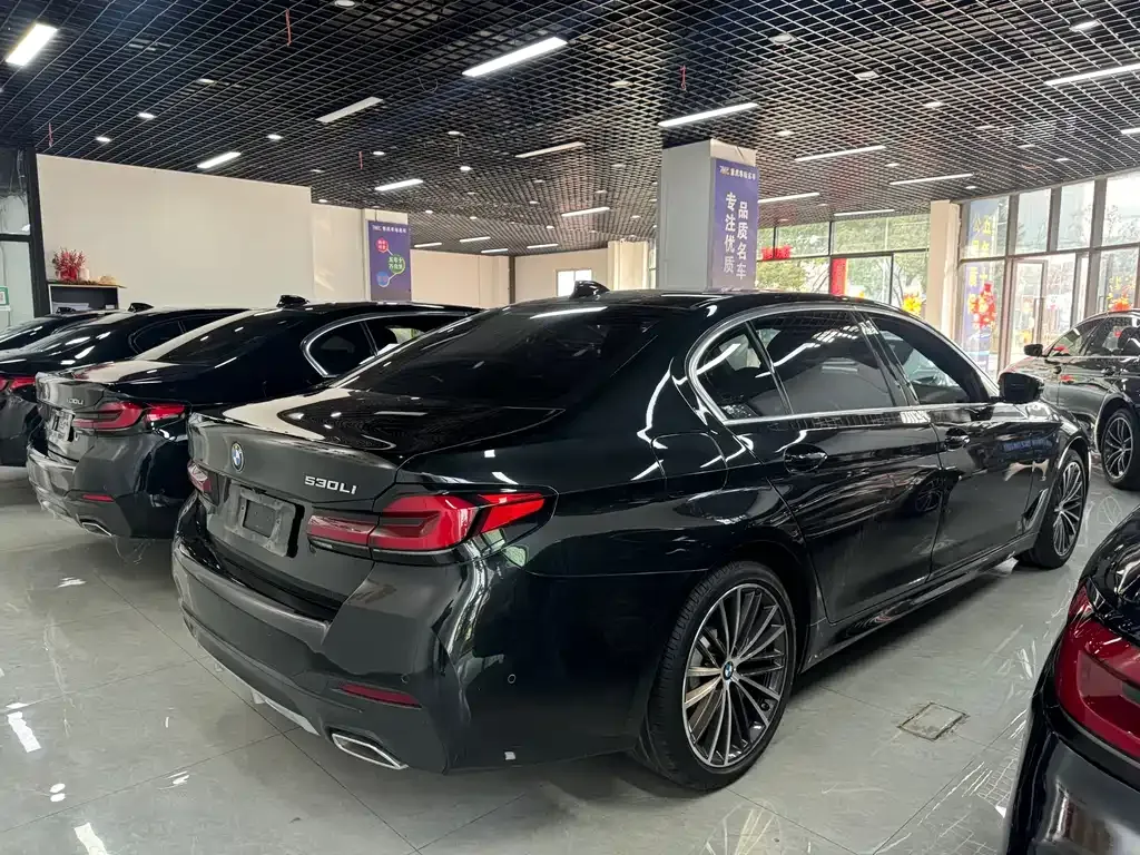 BMW 5 Series 2021 из CN, фото 3